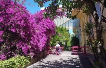 Hôtel WINDSOR - Galerie photos